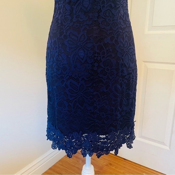 Francesca’s Blue Rain Navy Lace Mini Dress - Picture 14 of 16